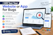 test your website and find bugs