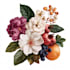 illustrate best botanical illustration