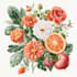 draw a botanical illustration