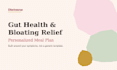 create a gut health and bloating relief meal plan