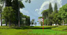 design 3d golf course landscape, green turf, mini golf layout, putting green