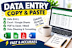 do professional data entry, copy paste and excel work