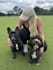create ugc videos for your pet brand