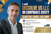 dissolve US llc, cancel corporate ein, and file llc dissolution
