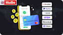 setup and integrate payment gateway, airwallex, paypal, klarna, wise, stripe