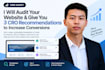 do a conversion rate optimization audit on your site