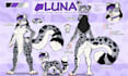 furry ref sheet fursona ref sheet anthro ref sheet character design furry artist
