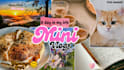 design social media content