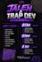 custom fivem scripts server development