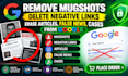 remove mugshots delete negative links erase articles false news cases on google