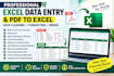 do professional excel data entry, PDF to excel, data cleaning and formatting