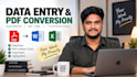 do professional data entry and pdf file conversion work