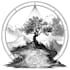 draw intricate antique engraving and etching artwork