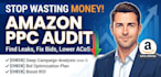 audit amazon PPC campaigns, keywords, bids and acos