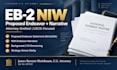 structure your professional background for an eb2 niw