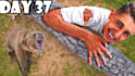desing a proffesional  youtube thumnails