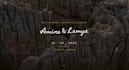 create a stunning animated wedding website with scroll and parallax effects