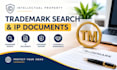 draft or review trademark search, copyright and intellectual property documents