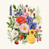 draw botanical illustrations of flowers