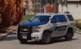 customize immersive lspdfr graphic and police mods setup
