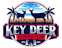 design wonderful deer logo