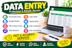do accurate data entry and copy paste task