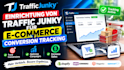 einrichtung von traffic junky fur e commerce conversion tracking