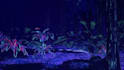 create immersive projection visuals for exhibitions art and installations