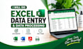 do excel data entry and data processing