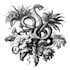 drsign authentic antique engraving and etching illustration