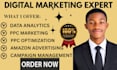 do amazon ppc setup management campaign audit optimization scaling data analysis
