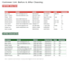 do accurate data entry and excel data cleaning