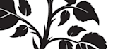 draw high detail black and grey tattoo design