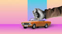 animate a video in cutout and collage style
