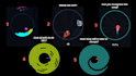make bouncing ball videos for tiktok and shorts