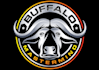 design unique buffalo logo with free source files