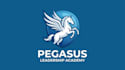 create modern awesome pegasus logo just 12 hrs
