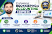 do professional accounting and bookkeeping services
