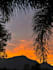 do professional and stunning photography