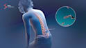 create 3d medical animation scientific animation medical therapeutics animation