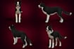 make dog logo 3d dog model dog modeling animal and pet modeling
