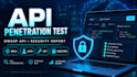 perform API penetration testing and security assessment