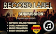 do professional record label submission to targeted labels
