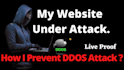 assist take any website down, ddos attack, website penetrate, ss7 attack