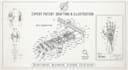create patent drawings, uspto patent figures and technical patent illustrations