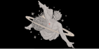 convert your logo to embroidery digitizing files ,emb ,dst