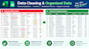 do excel and google sheets data entry and formatting