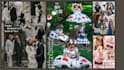 create stunning personalized photo collages