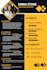 professional modern CV design