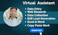 do data entry b2b lead generation data scraping and b2b